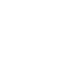 logo bizzarrie blanc